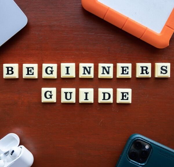 beginner friendly website guide