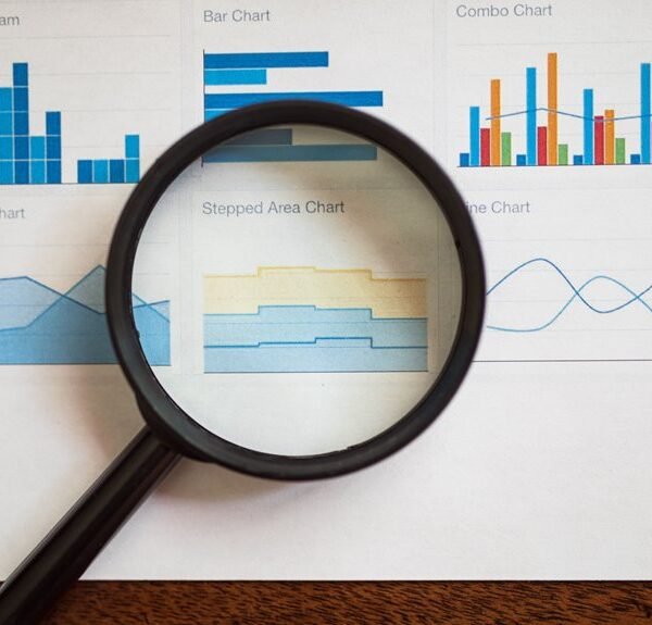 bralad com insights and review
