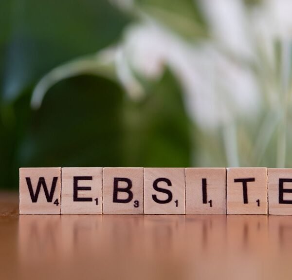 website purpose and insights